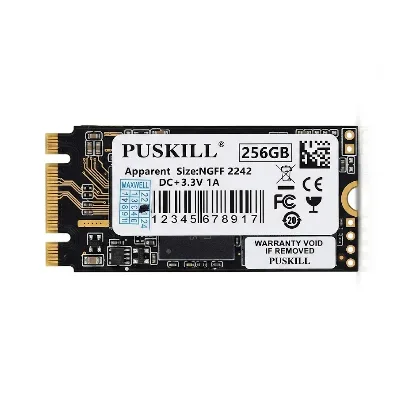 PUSKILL, M.2 SATA, 256GB